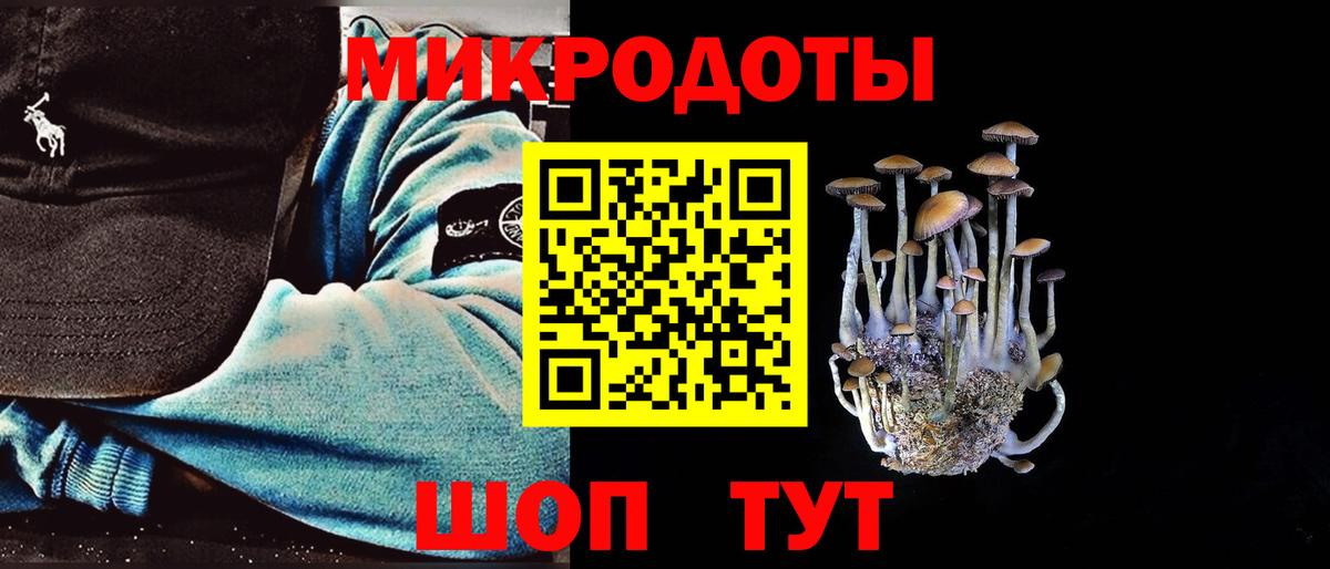 Галлюциногенные грибы мухоморы Советск